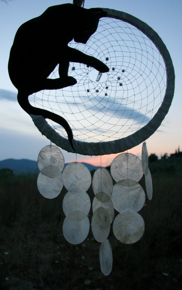 IL GATTO E LA LUNA