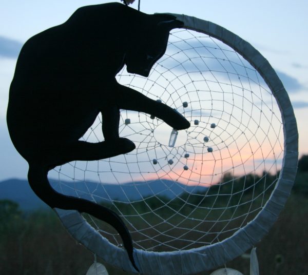 IL GATTO E LA LUNA - immagine 4