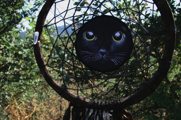 GATTO NERO - immagine 3