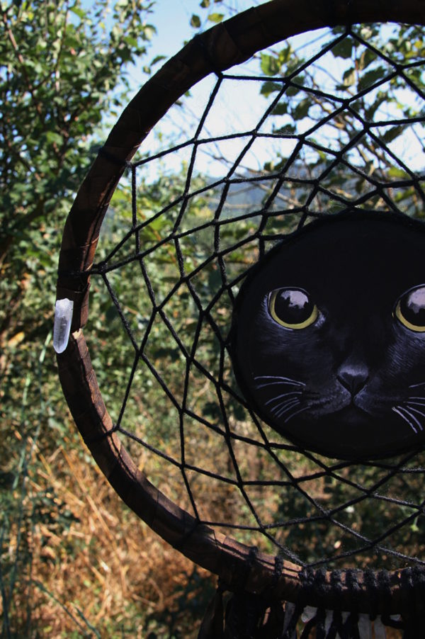 GATTO NERO - immagine 2