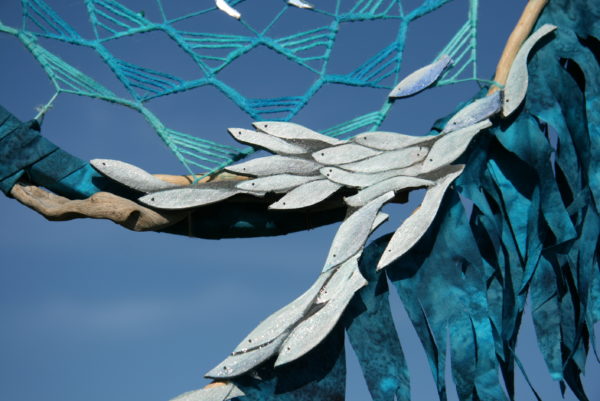 PESCI BLU - immagine 2