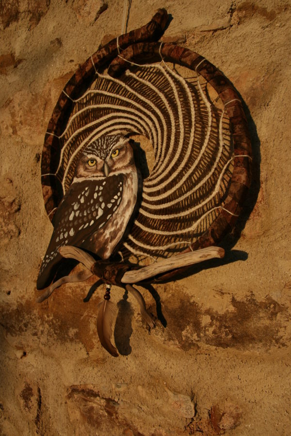 animasogni civetta
