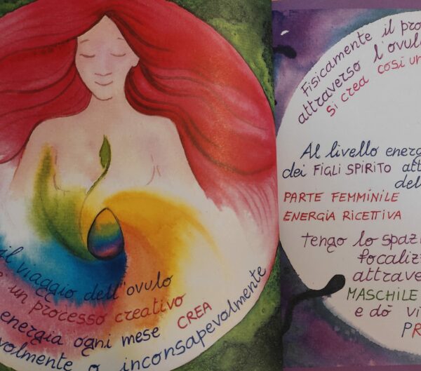 PACK OFFERTA - immagine 5